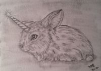 Unicornis Bunny